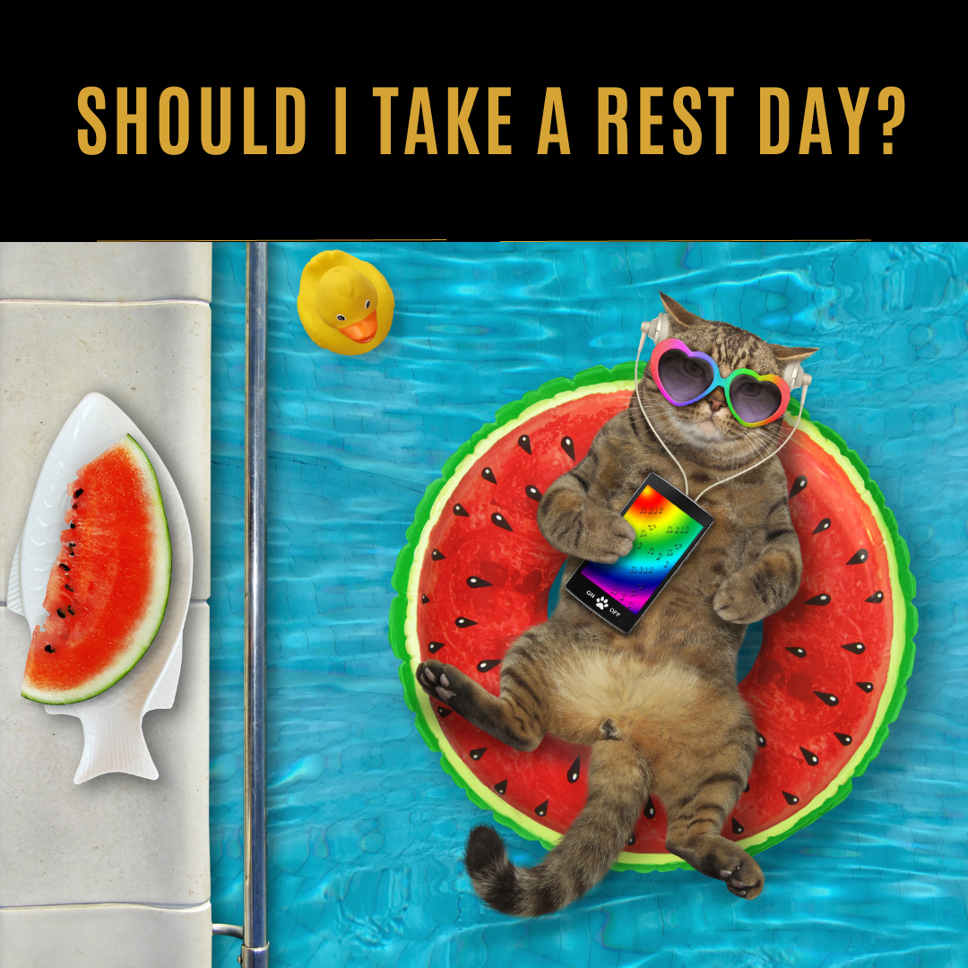 Should I take a rest day?